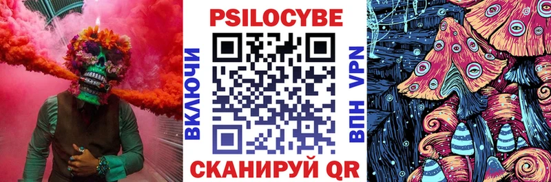 мега сайт  Кемерово  Галлюциногенные грибы Psilocybe 